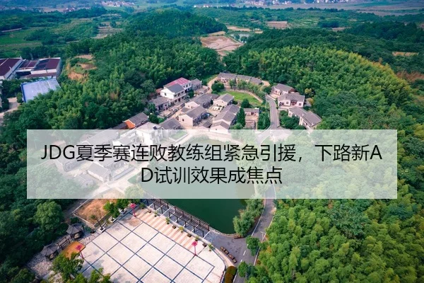 JDG夏季赛连败教练组紧急引援，下路新AD试训效果成焦点